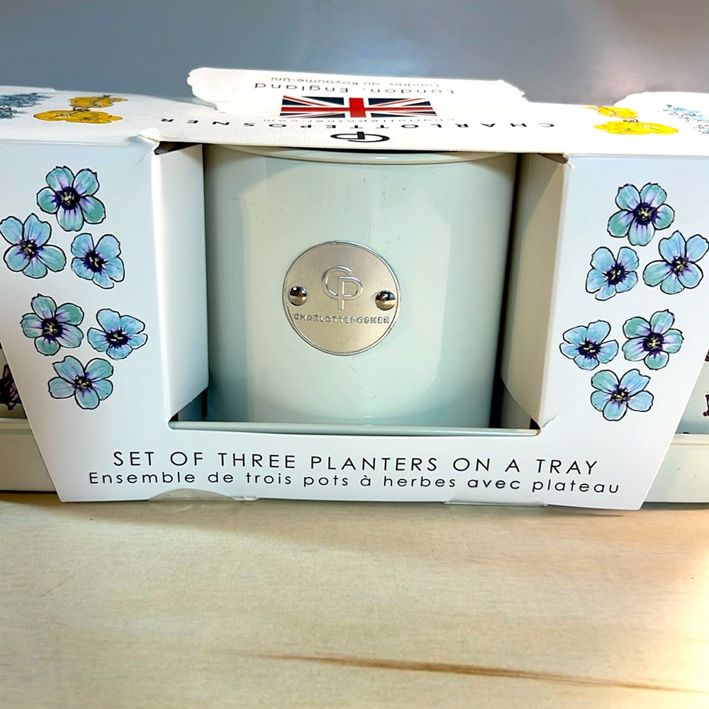 Charlotte Watson Set of Three Planters on Tray